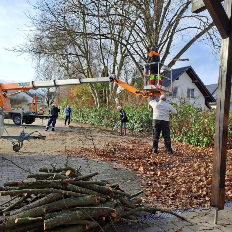 bf9e4b76-d03f-4bd8-af90-a203bf677e92